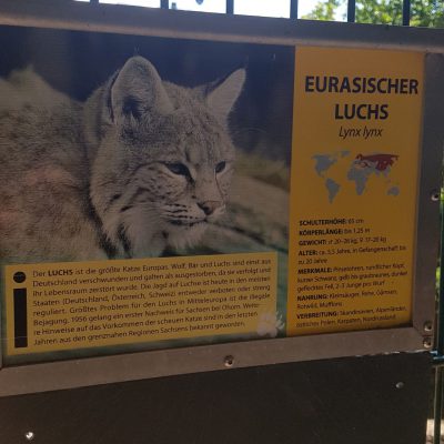 Sogar ein Luchs wohnt hier